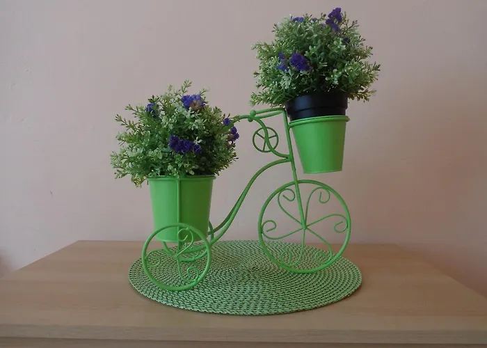 بيت شباب Taurus