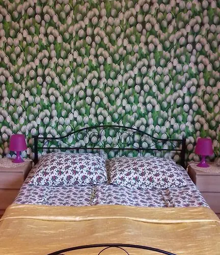 Taurus بيت شباب