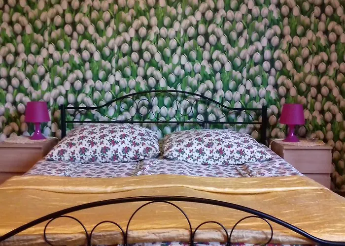 Taurus بيت شباب *