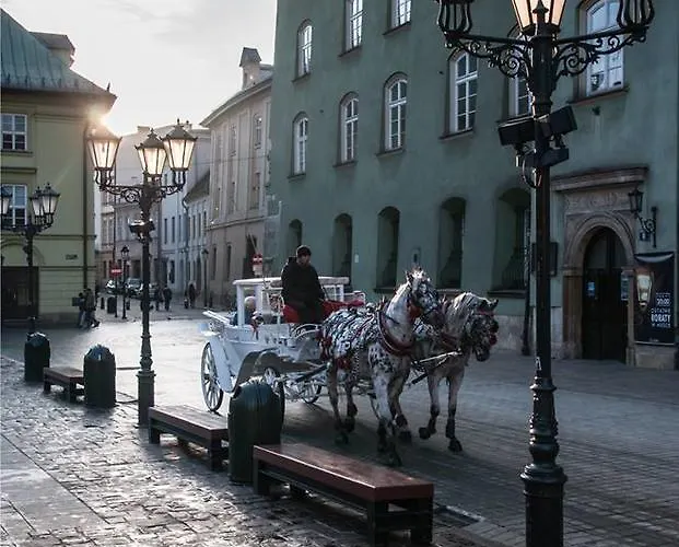 Taurus بيت شباب